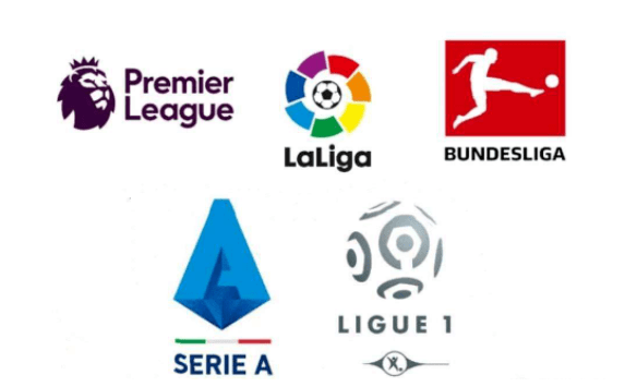 发挥了桥梁 发挥了桥梁